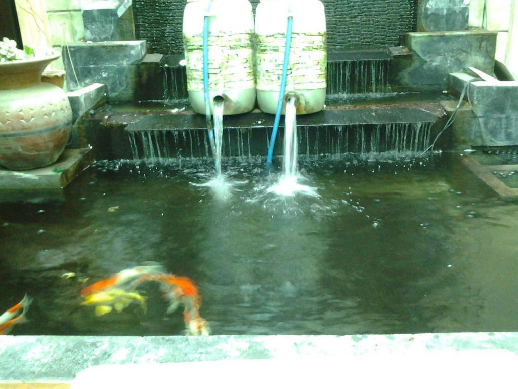 Mesir Hotel Surabaya